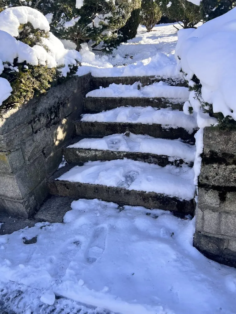 Expert lawn mowing service for homes in Boston, MA by Bryan and Keila Landscaping