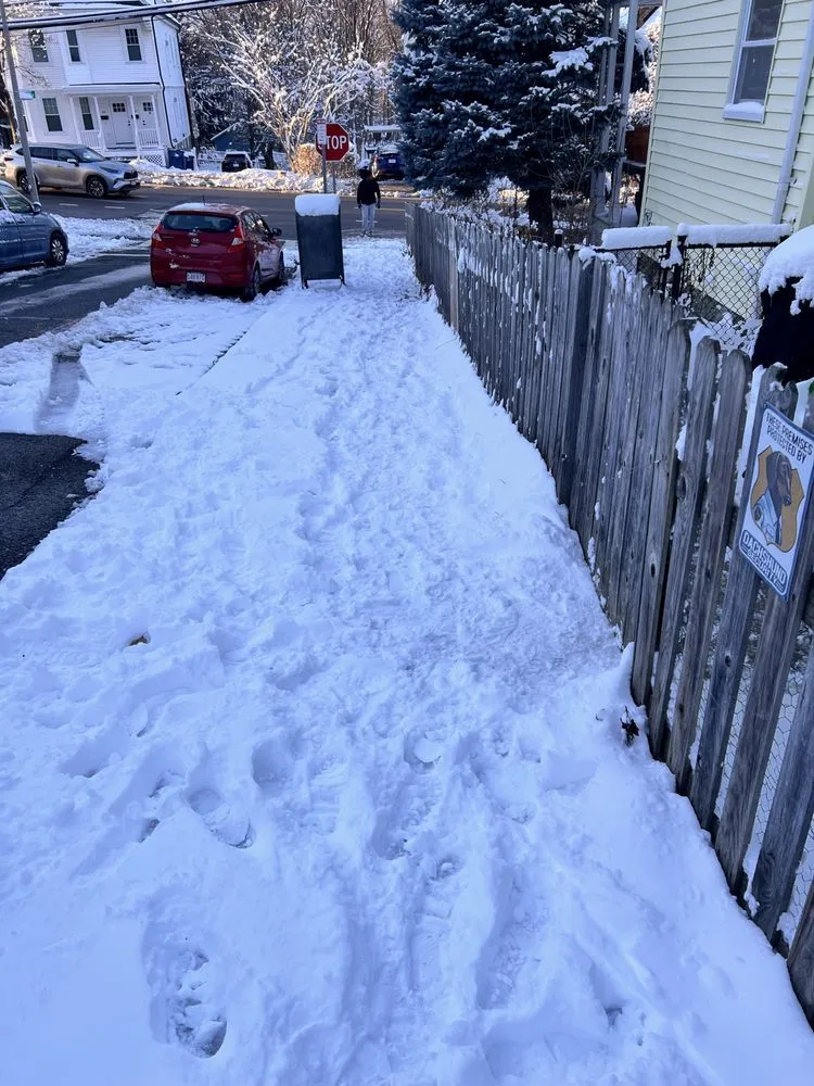 Reliable lawn mowing service with custom design in Boston, MA by Bryan and Keila Landscaping