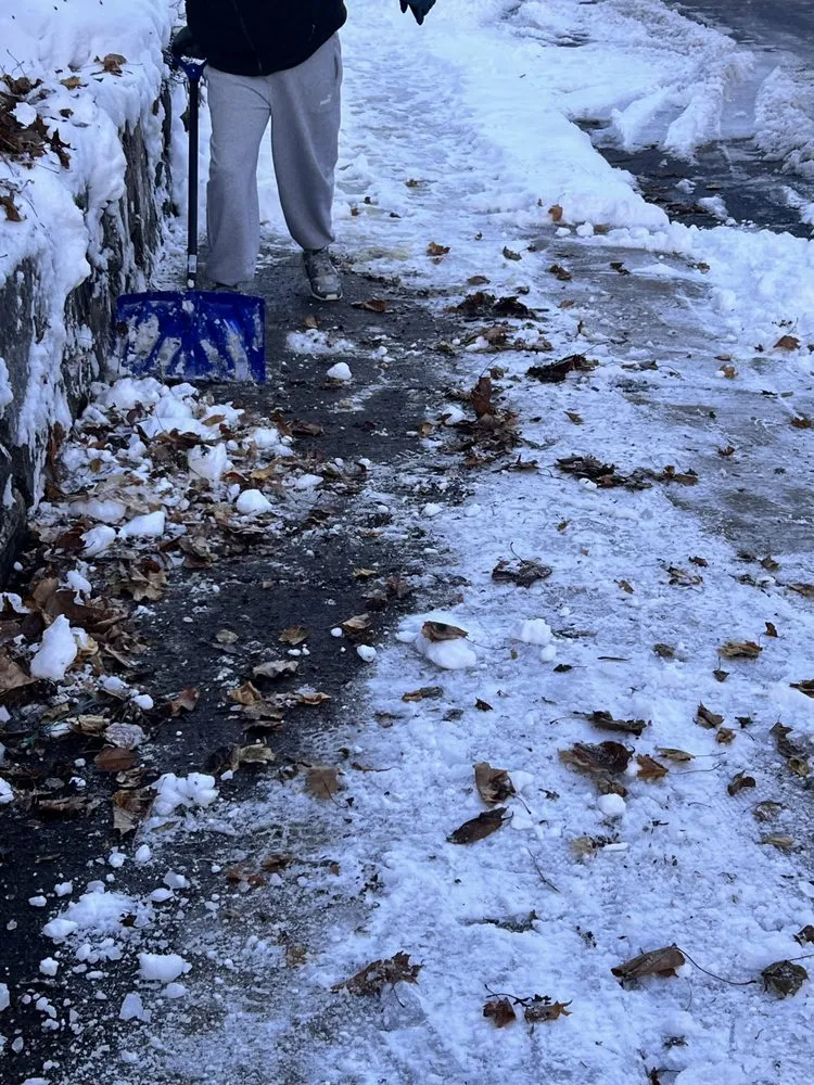 Professional yard cleanup service in Boston, MA by Bryan and Keila Landscaping