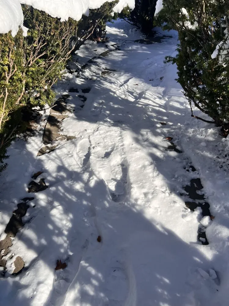 Expert lawn mowing service in Boston, MA by Bryan and Keila Landscaping