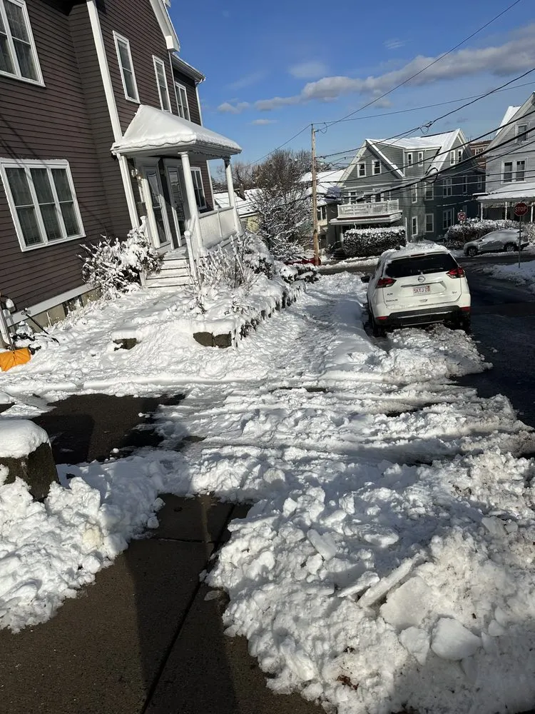 Affordable landscape installation for year-round maintenance in Boston, MA by Bryan and Keila Landscaping