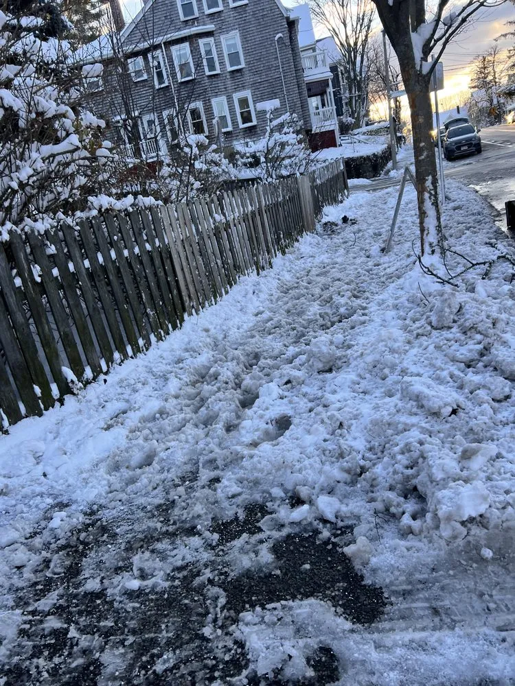 Professional landscaping services experts serving Boston, MA - Bryan and Keila Landscaping