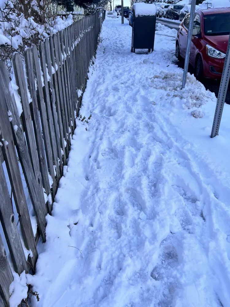 Expert yard maintenance in Boston, MA by Bryan and Keila Landscaping