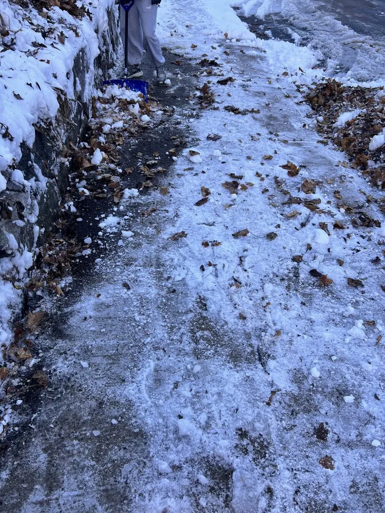 Professional outdoor landscaping for residential properties across Boston, MA - Bryan and Keila Landscaping