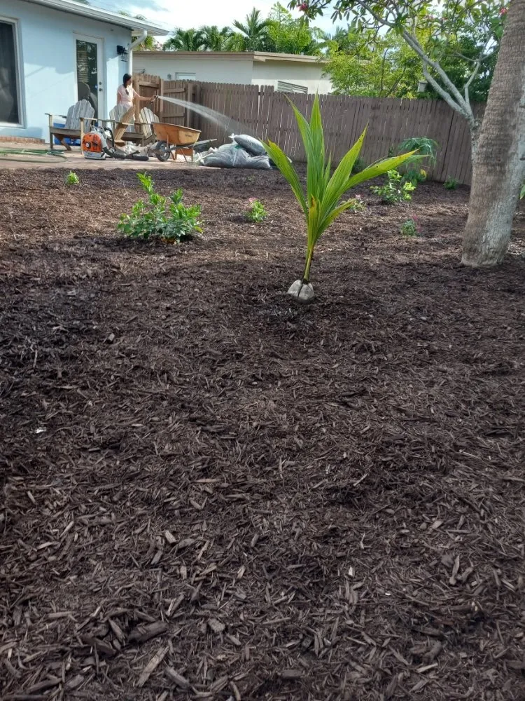 Reliable residential landscaping in Fort Lauderdale, FL by Bryan Landscaping Services