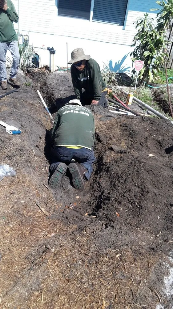 Reliable yard cleanup service for beautiful yards across Fort Lauderdale, FL - Bryan Landscaping Services