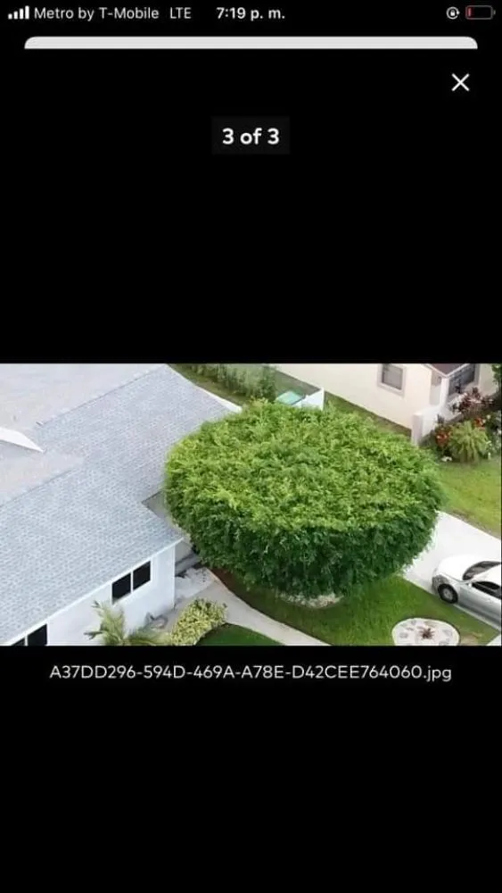 Top-rated lawn mowing service in Fort Lauderdale, FL - Bryan Landscaping Services