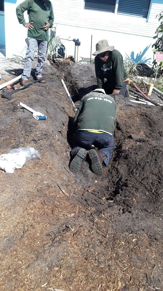 Expert yard maintenance in Fort Lauderdale, FL - Bryan Landscaping Services