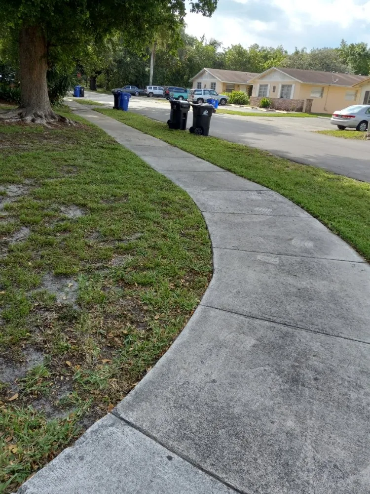 Affordable landscaping services in Fort Lauderdale, FL - Bryan Landscaping Services