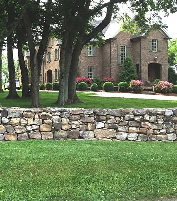 Reliable yard cleanup service with custom design in Nashville, TN by Bryan Lawn Care