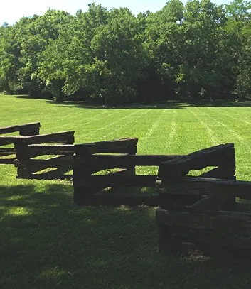 Expert yard maintenance for year-round maintenance across Nashville, TN - Bryan Lawn Care