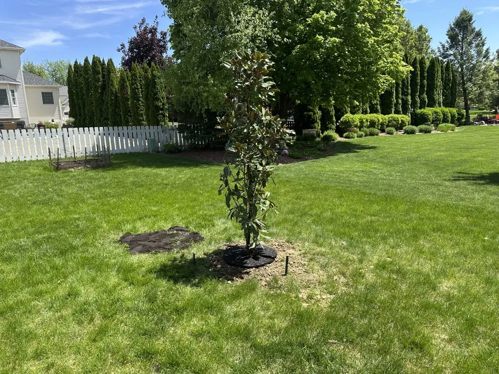 Top-rated yard cleanup service for outdoor upgrades across Downs, IL - Bryan Property Services