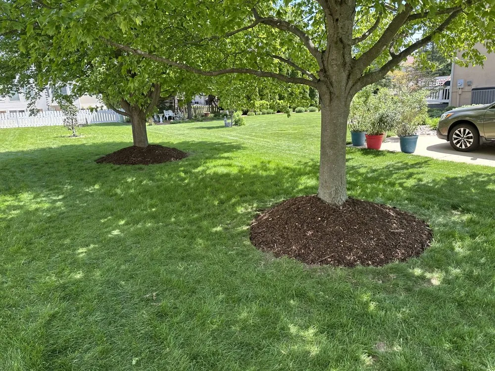 Local garden landscaping for residential properties across Downs, IL - Bryan Property Services