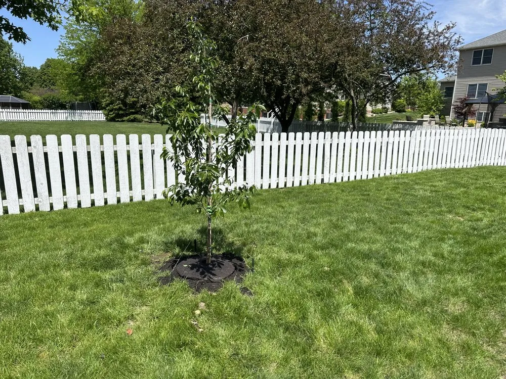 Trusted lawn mowing service experts serving Downs, IL - Bryan Property Services