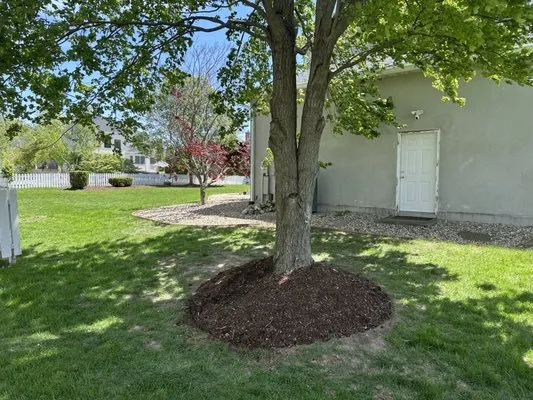 Bryan Property Services