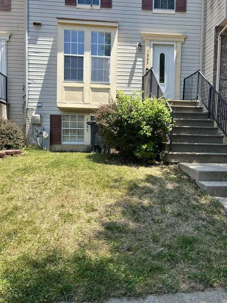 Reliable landscaping services for year-round maintenance across Edgewood, MD - Bryan S