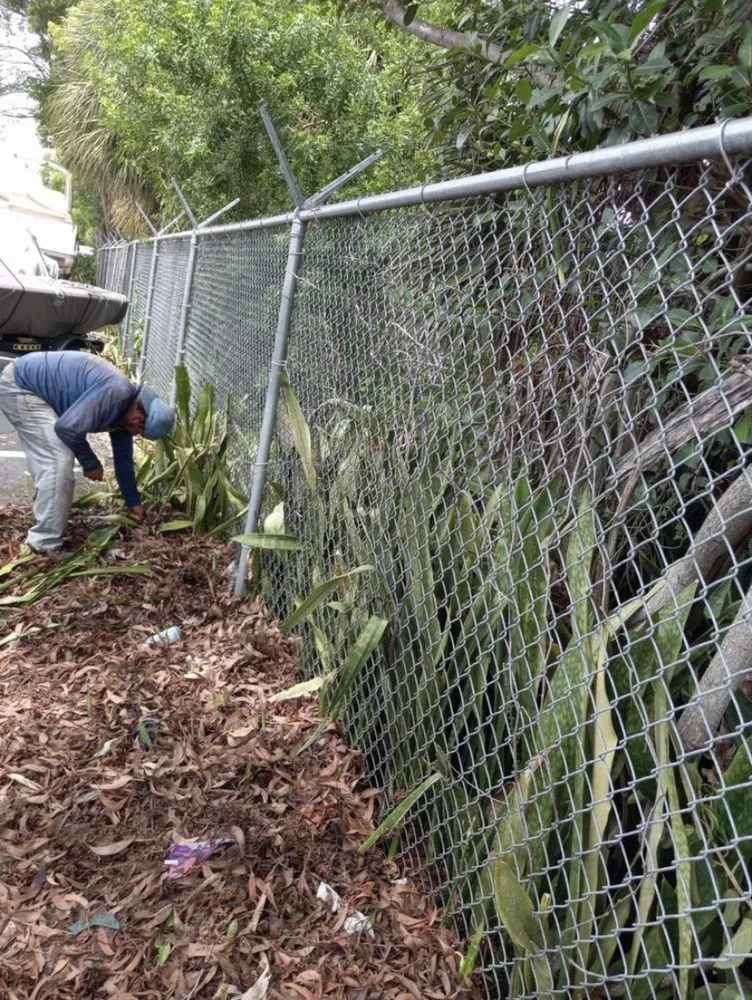 Local landscape design experts serving Fort Lauderdale, FL - Bryan Tree Services & Landscaping