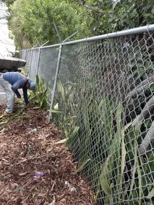 Bryan Tree Services & Landscaping Logo