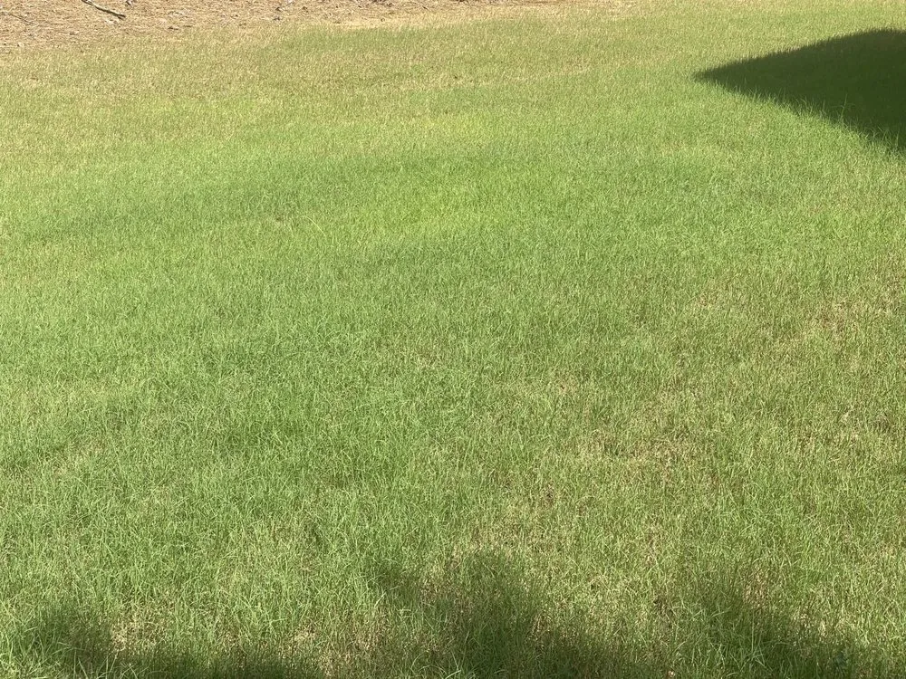 Expert landscape installation for residential properties in Whitesburg, GA by Bryan’s Home Improvements & Lawn Care