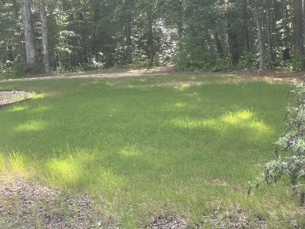 Custom lawn care service in Whitesburg, GA - Bryan’s Home Improvements & Lawn Care