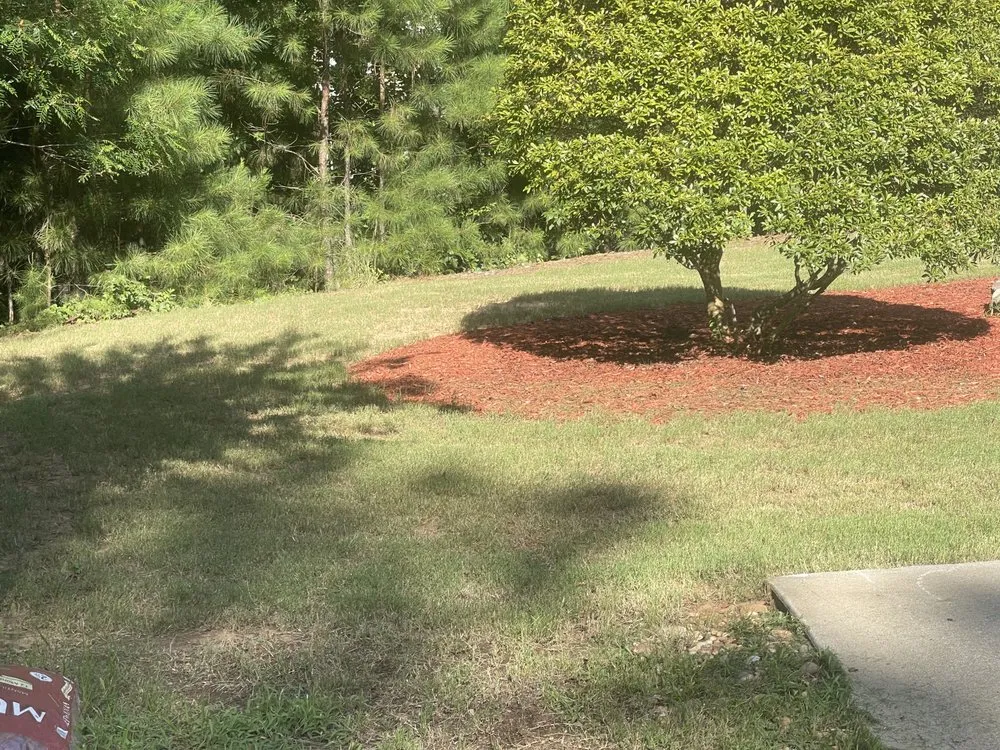 Affordable yard cleanup service experts serving Whitesburg, GA - Bryan’s Home Improvements & Lawn Care