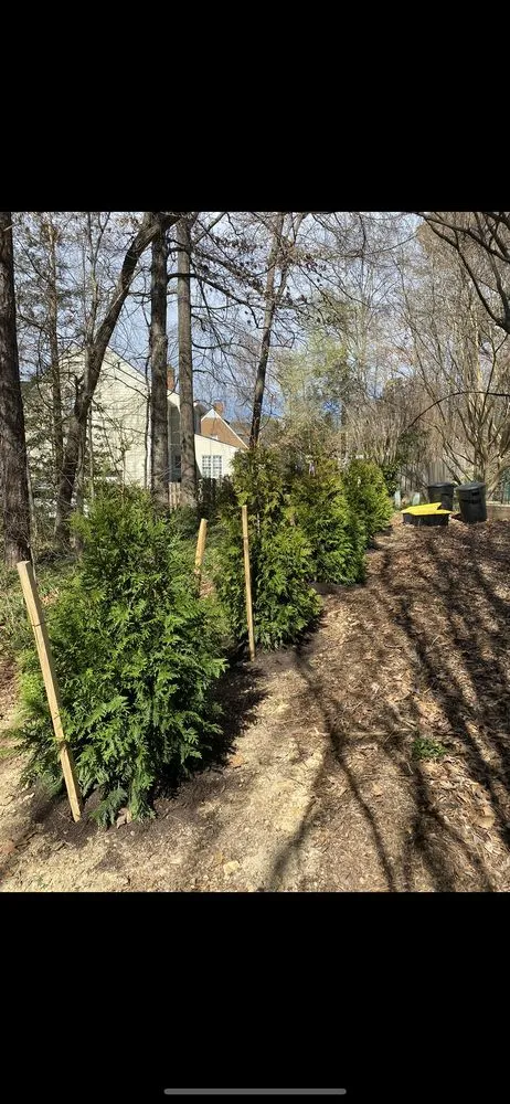 Custom landscape installation for outdoor upgrades in Glen Allen, VA by Bryan's Landscaping