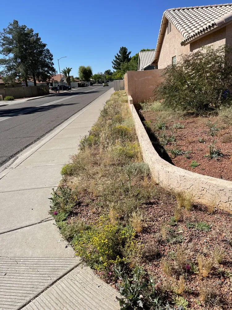 Custom landscape installation near you in Phoenix, AZ by Bryan’s Landscaping