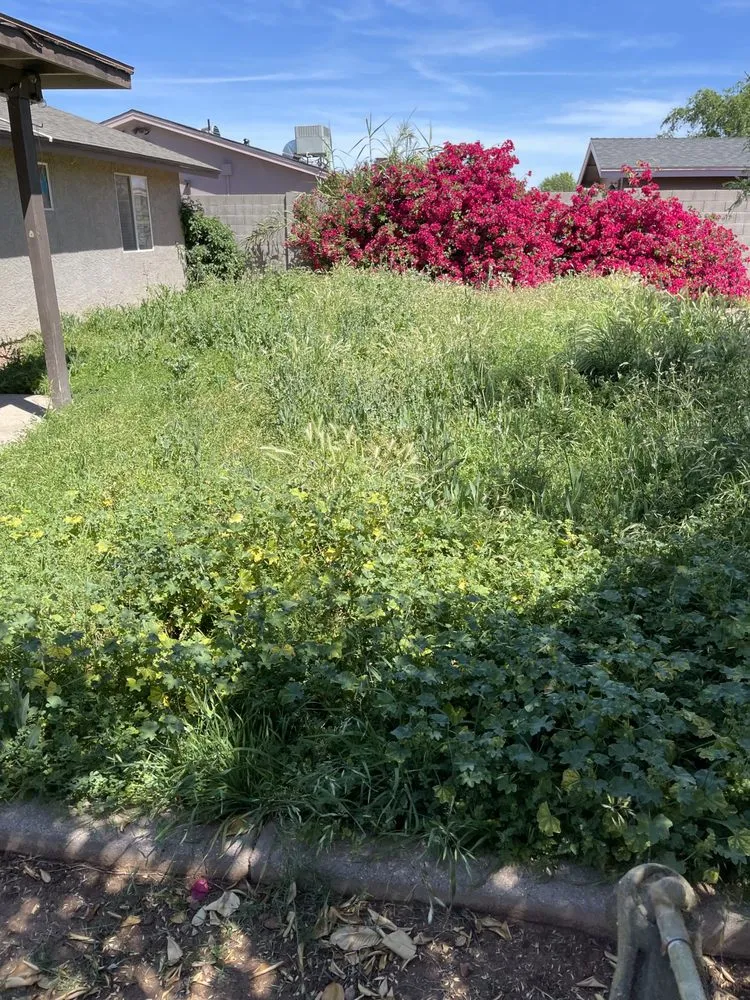 Top-rated landscape installation for residential properties in Phoenix, AZ by Bryan’s Landscaping