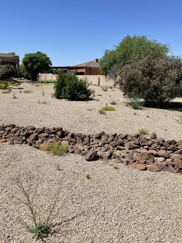 Expert yard cleanup service in Phoenix, AZ by Bryan’s Landscaping