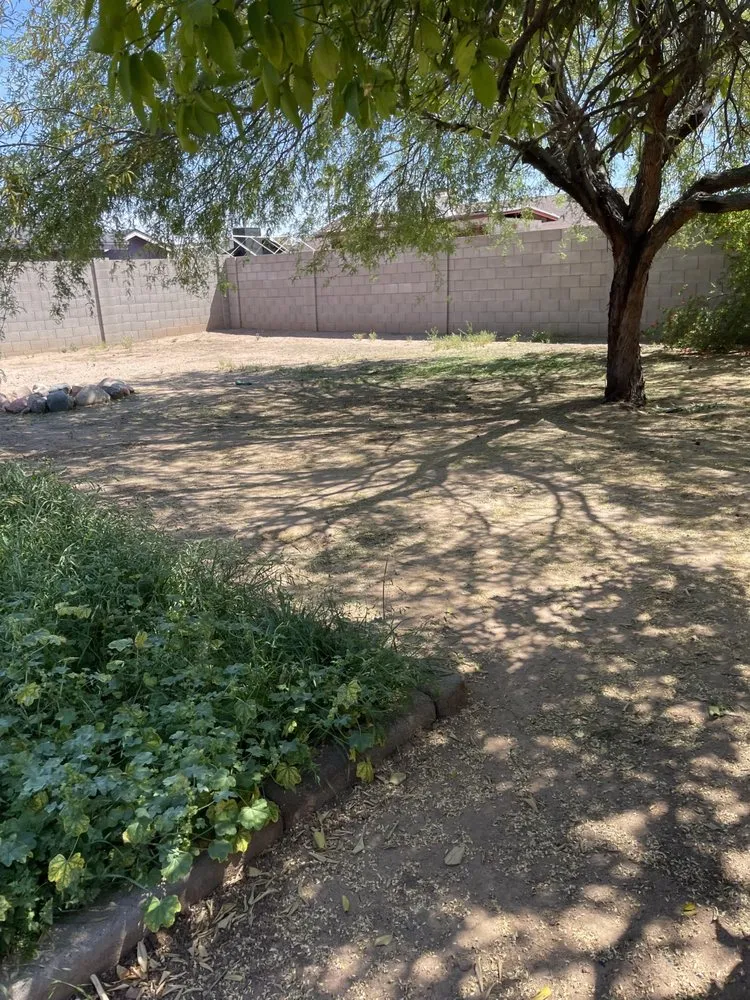 Affordable landscaping services near you in Phoenix, AZ by Bryan’s Landscaping