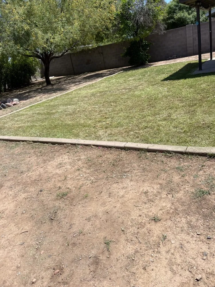 Top-rated landscaping services for outdoor upgrades in Phoenix, AZ by Bryan’s Landscaping