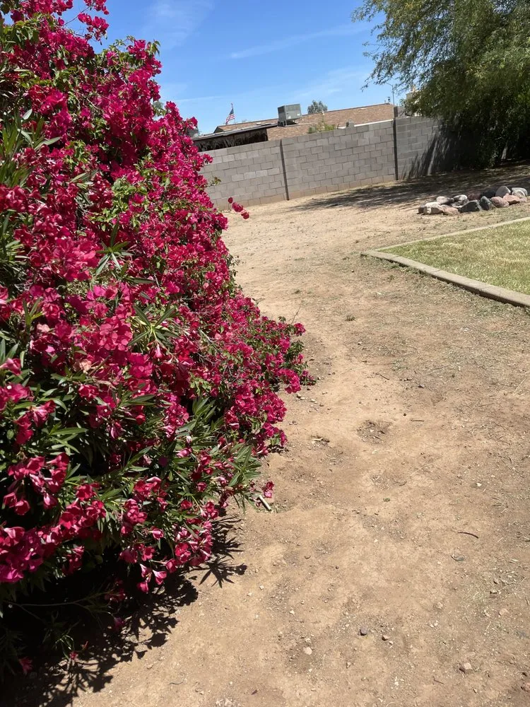 Top-rated garden landscaping in Phoenix, AZ - Bryan’s Landscaping