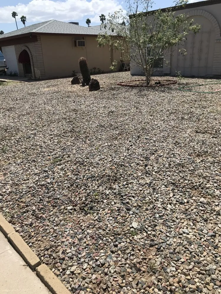 Local landscape design in Phoenix, AZ by Bryan’s Landscaping