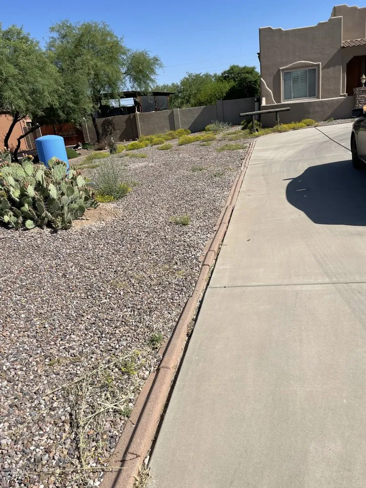 Professional lawn mowing service in Phoenix, AZ - Bryan’s Landscaping