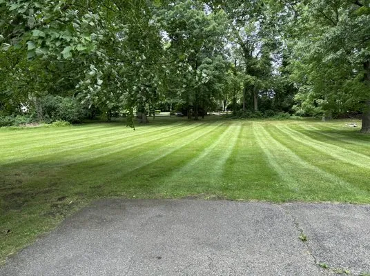 Bryan’s lawn and snow