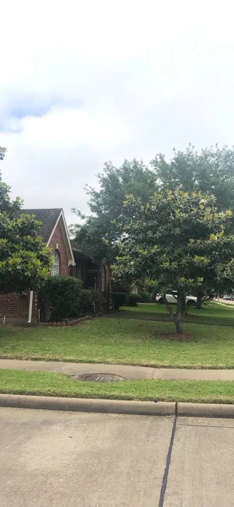 Top-rated landscape installation in Houston, TX by Bryan's Lawn Care & Service