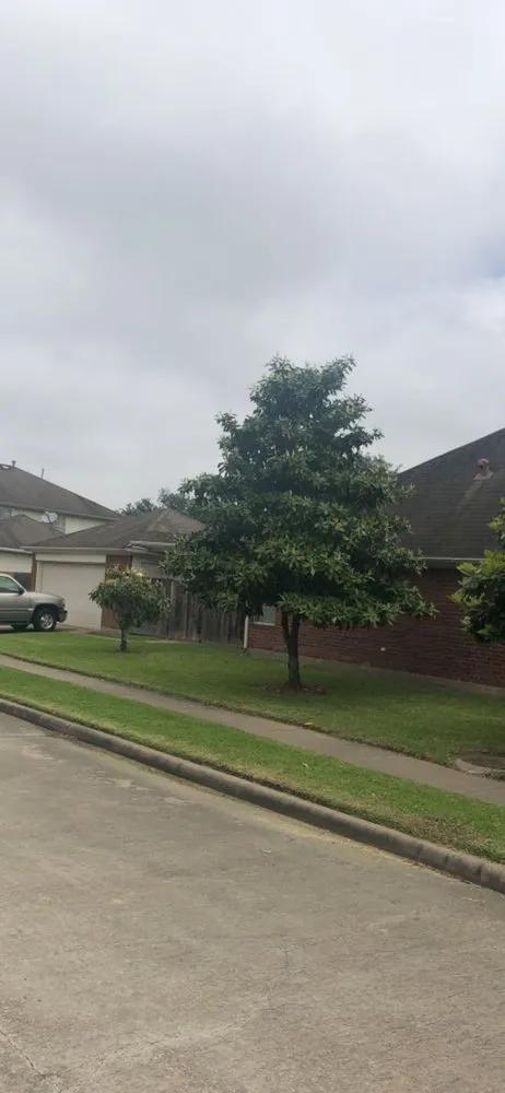 Trusted landscape design in Houston, TX - Bryan's Lawn Care & Service