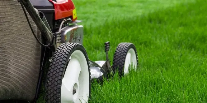 Trusted garden landscaping in Altoona, PA by Bryan's Lawn Care