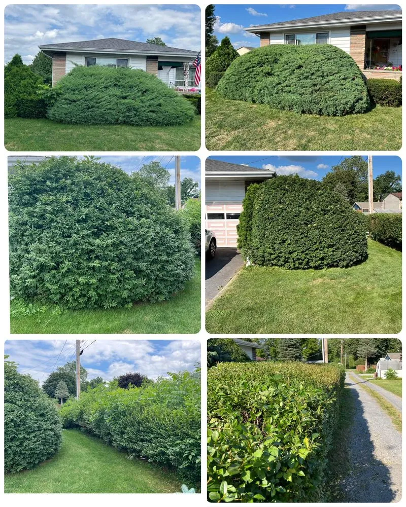 Local lawn care service in Altoona, PA by Bryan's Lawn Care