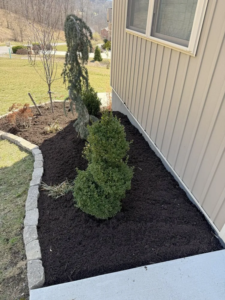 Local yard maintenance experts serving Altoona, PA - Bryan's Lawn Care