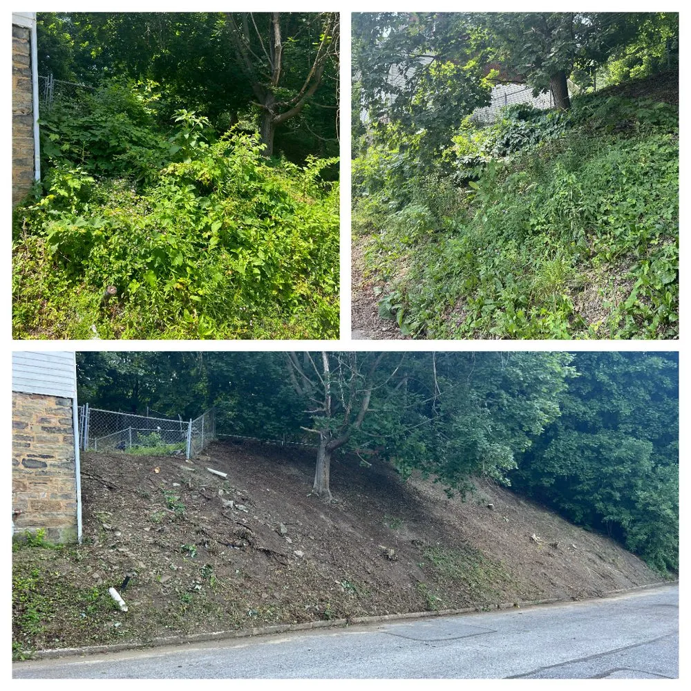 Expert landscape installation for outdoor upgrades across Altoona, PA - Bryan's Lawn Care