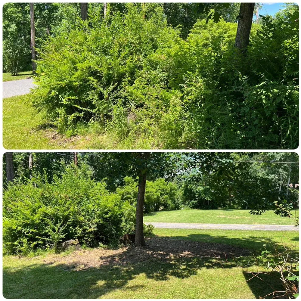 Expert lawn care service experts serving Altoona, PA - Bryan's Lawn Care