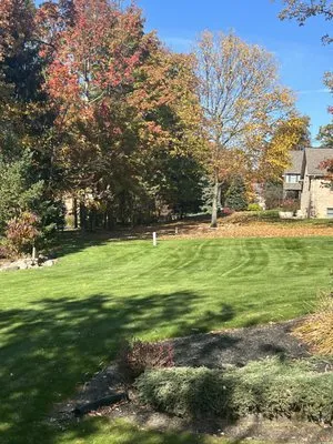 Bryan's Lawn Care