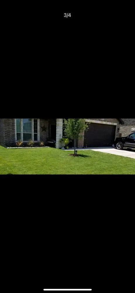 Professional yard cleanup service in Saint Petersburg, FL - Bryan’s Lawn Care