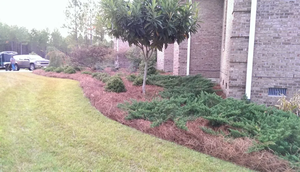 Top-rated lawn mowing service with custom design in Crawfordville, FL by Bryan's Lawn Care Service