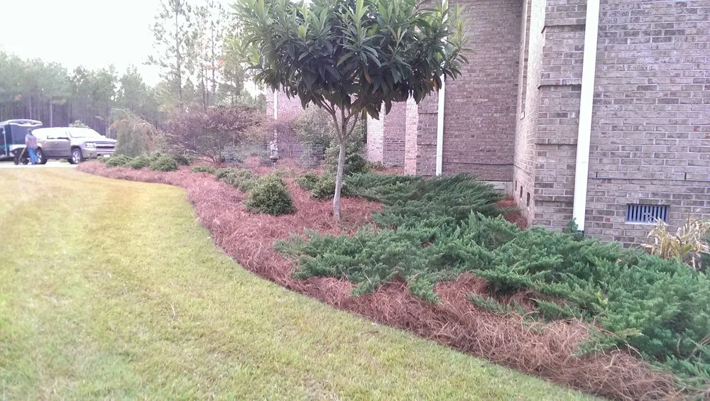 Local landscape installation for year-round maintenance across Crawfordville, FL - Bryan's Lawn Care Service