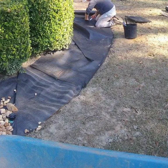 Expert yard cleanup service in Pensacola, FL by Bryan's Lawn Maintenance