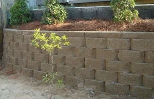 Top-rated yard maintenance for beautiful yards across Pensacola, FL - Bryan's Lawn Maintenance