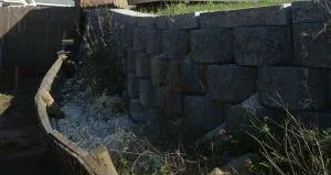 Professional lawn care service in Pensacola, FL by Bryan's Lawn Maintenance