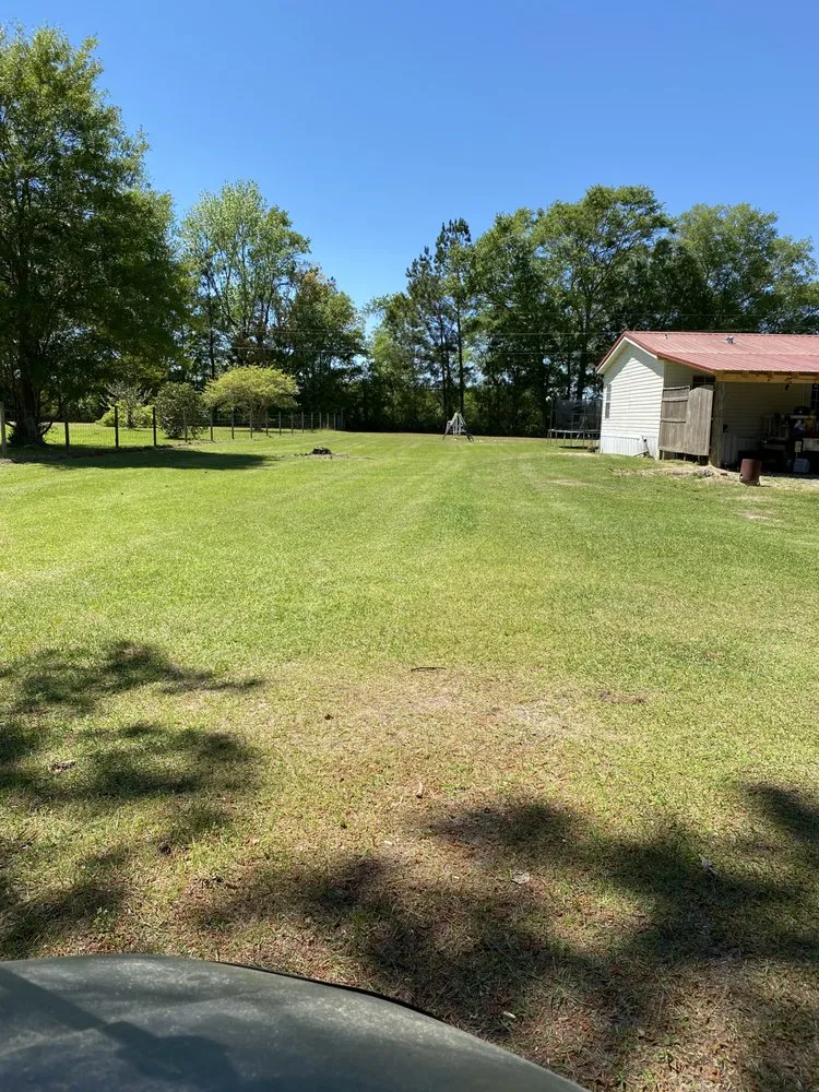 Top-rated yard cleanup service in Adel, GA - Bryan’s Lawn Mower Service